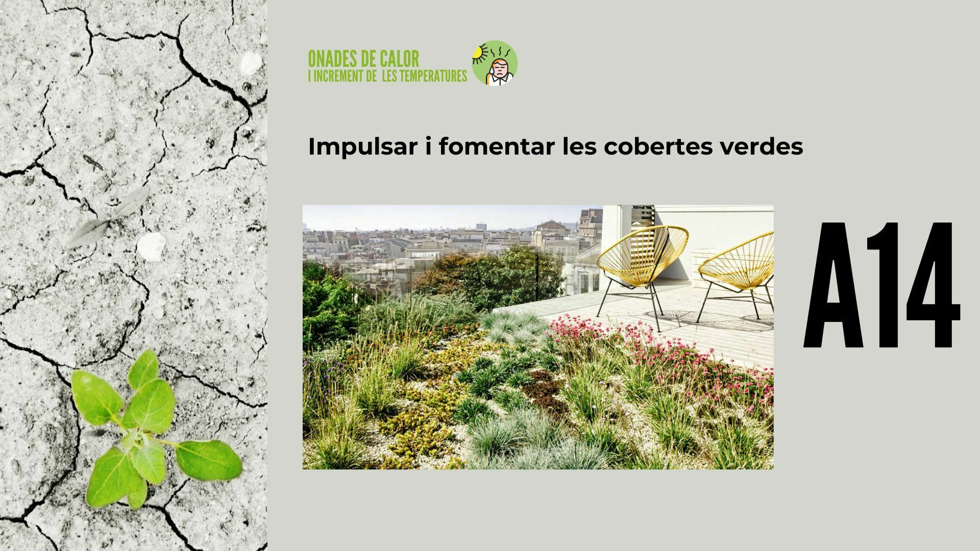 Imatge pels mitjans: A14 - Impulsar i fomentar les cobertes verdes 