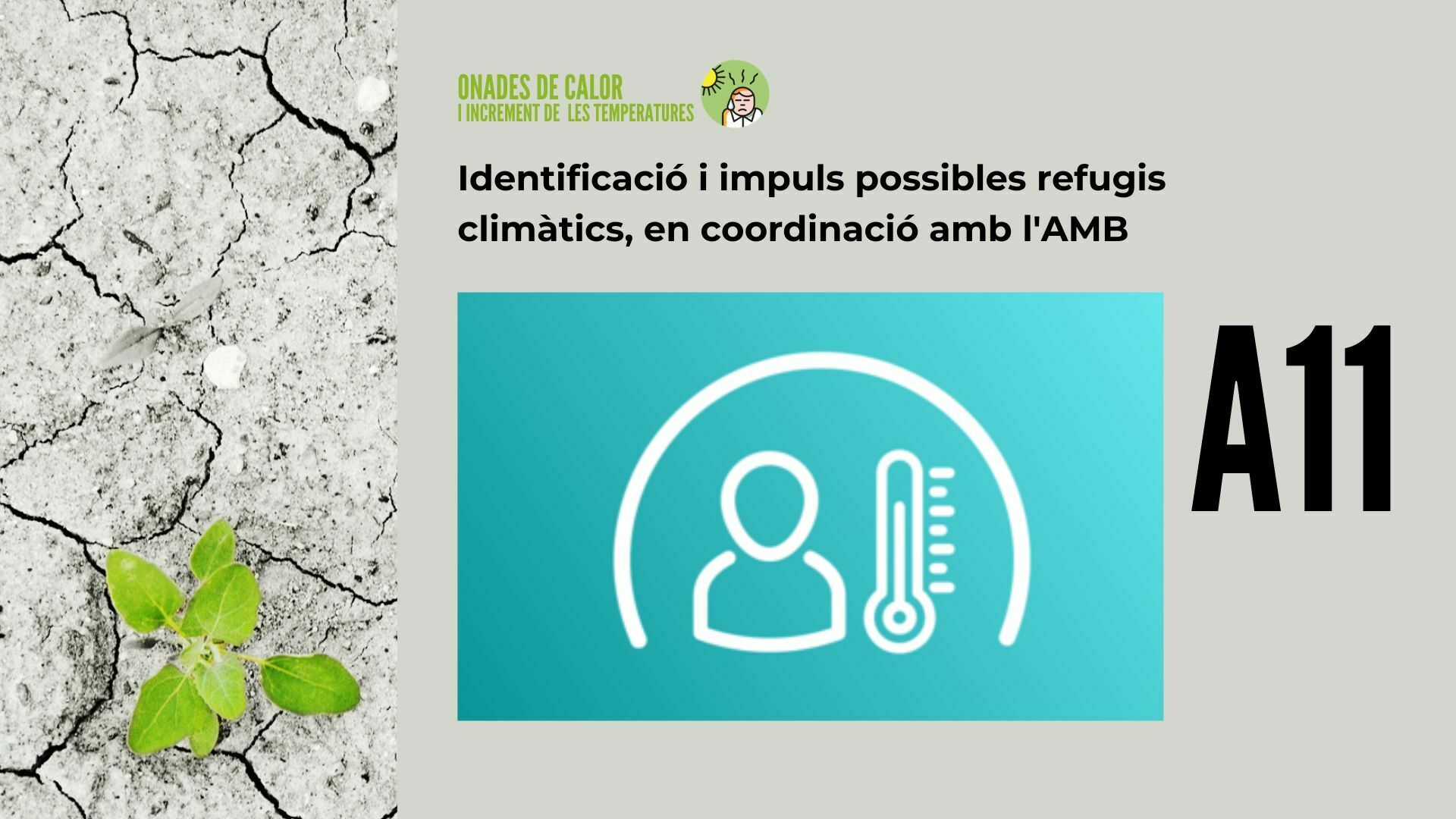 Imatge pels mitjans: A11 - Identificació i impuls possibles refugis climàtics, en coordinació amb l&#39;AMB