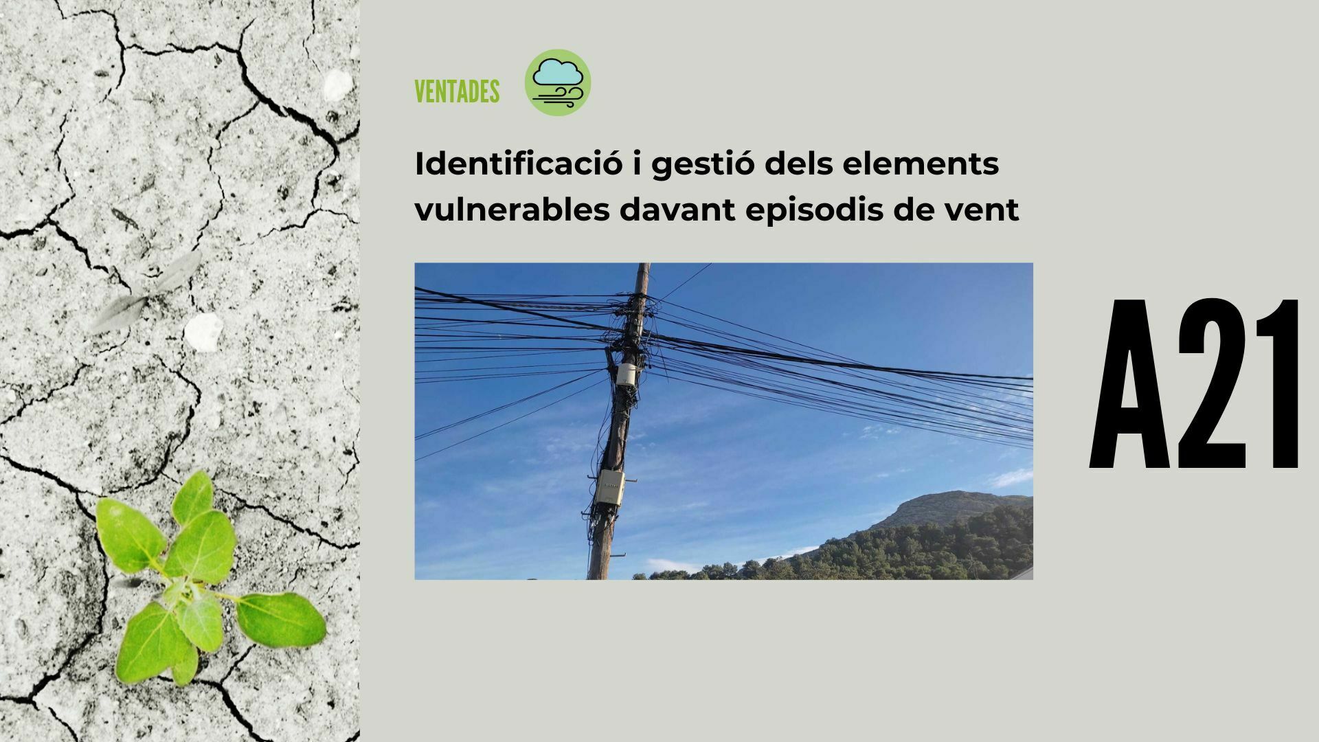 Imatge pels mitjans: A21 - Identificació i gestió dels elements vulnerables davant episodis de vent