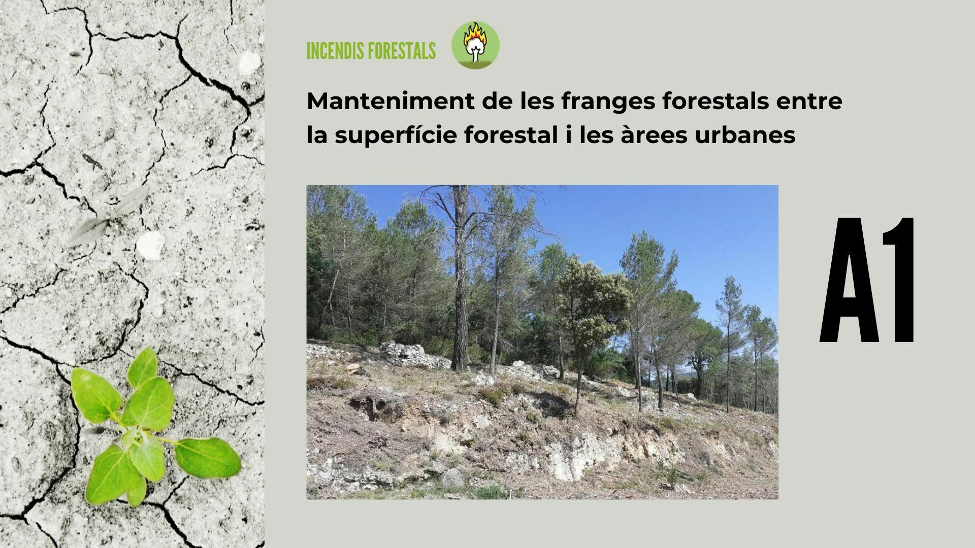 Imatge pels mitjans: A1- Manteniment de les franges forestals entre la superfície forestal i les àrees urbanes