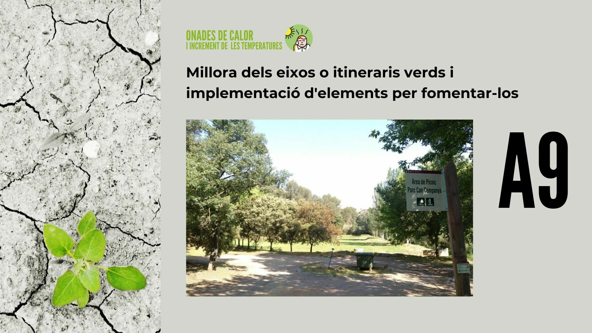 Imatge pels mitjans: A9 - Millora dels eixos o itineraris verds i implementació d'elements per fomentar-los