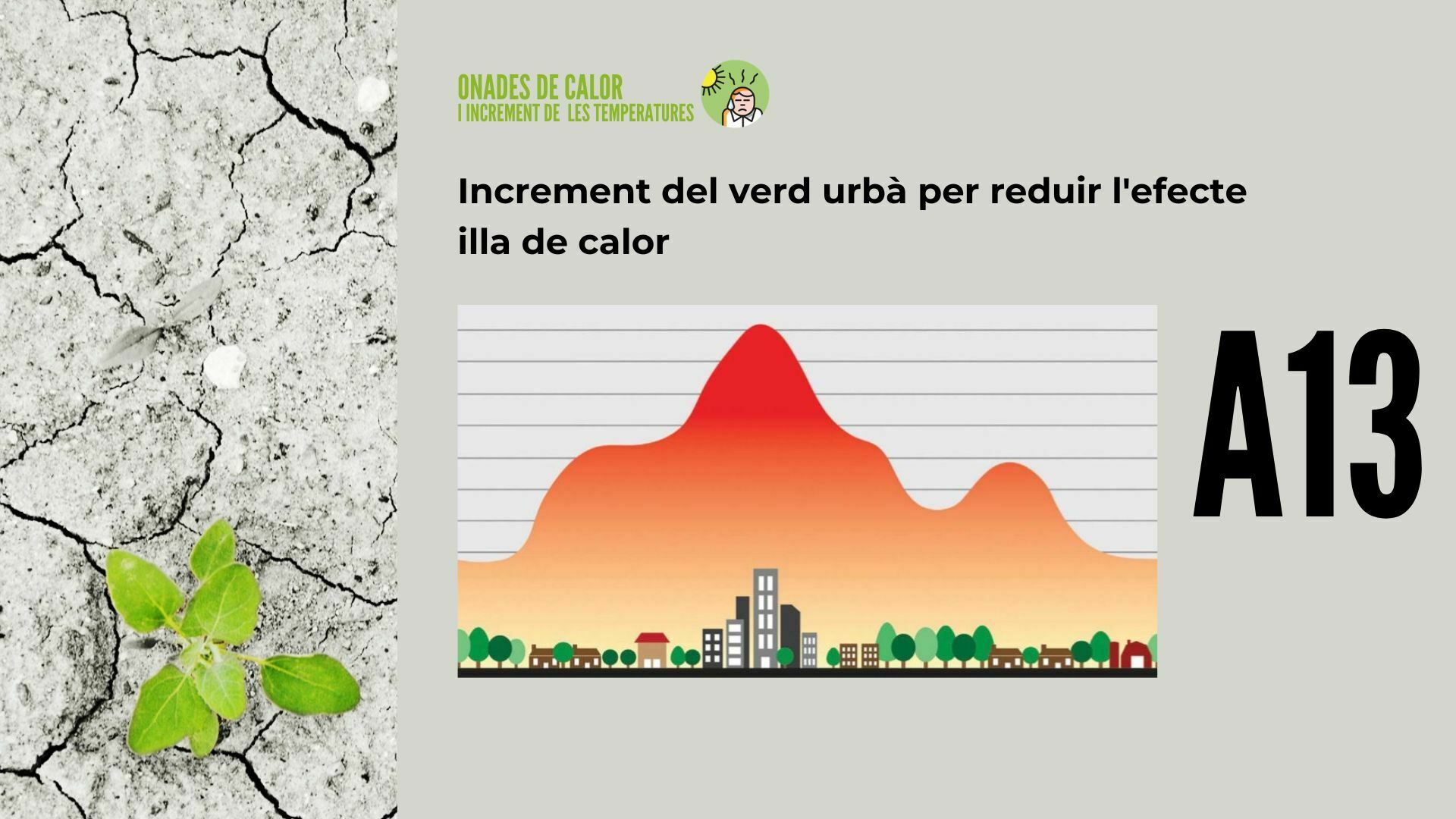 Imatge pels mitjans: A13 - Increment del verd urbà per reduir l&#39;efecte illa de calor 