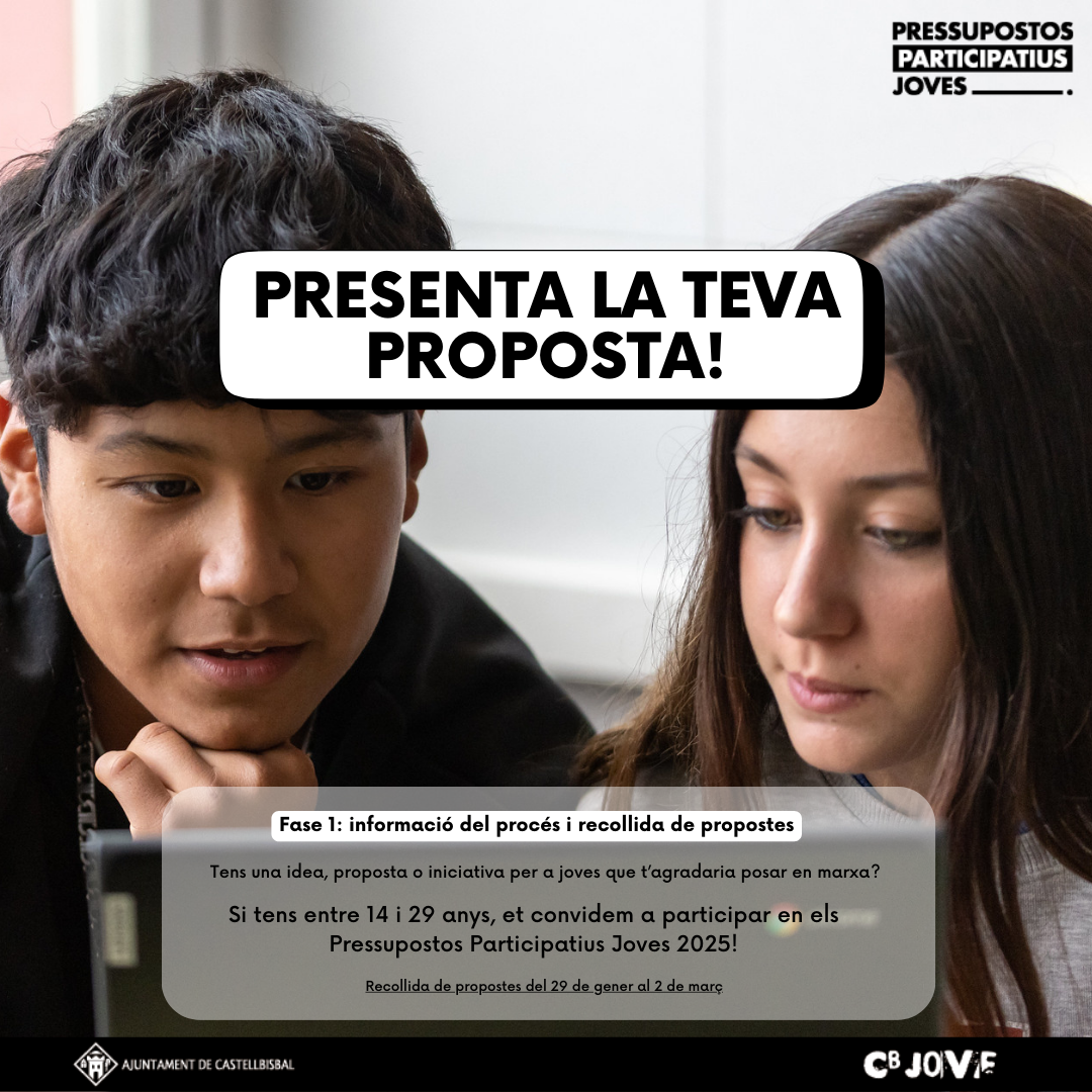 1. Cartell Pressupostos Joves (presentació propostes) (Post de Instagram)