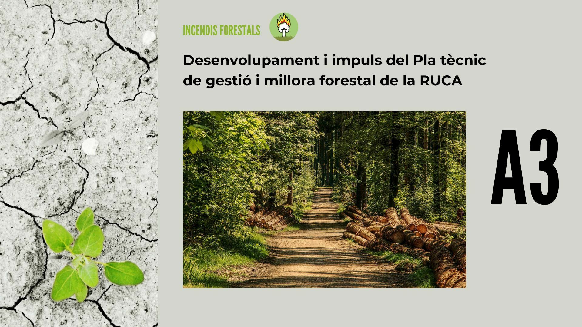 Imatge pels mitjans: A3 - Desenvolupament i impuls del Pla tècnic de gestió i millora forestal de la RUCA