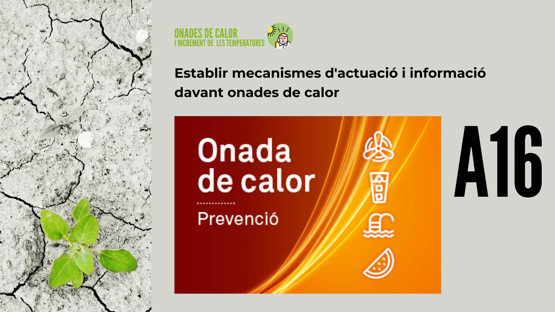 Imatge pels mitjans: A16 - Establir mecanismes d'actuació i informació davant onades de calor 