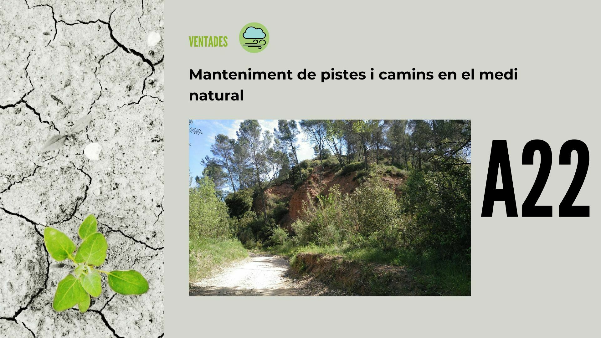 Imatge pels mitjans: A22 - Manteniment de pistes i camins en el medi natural 