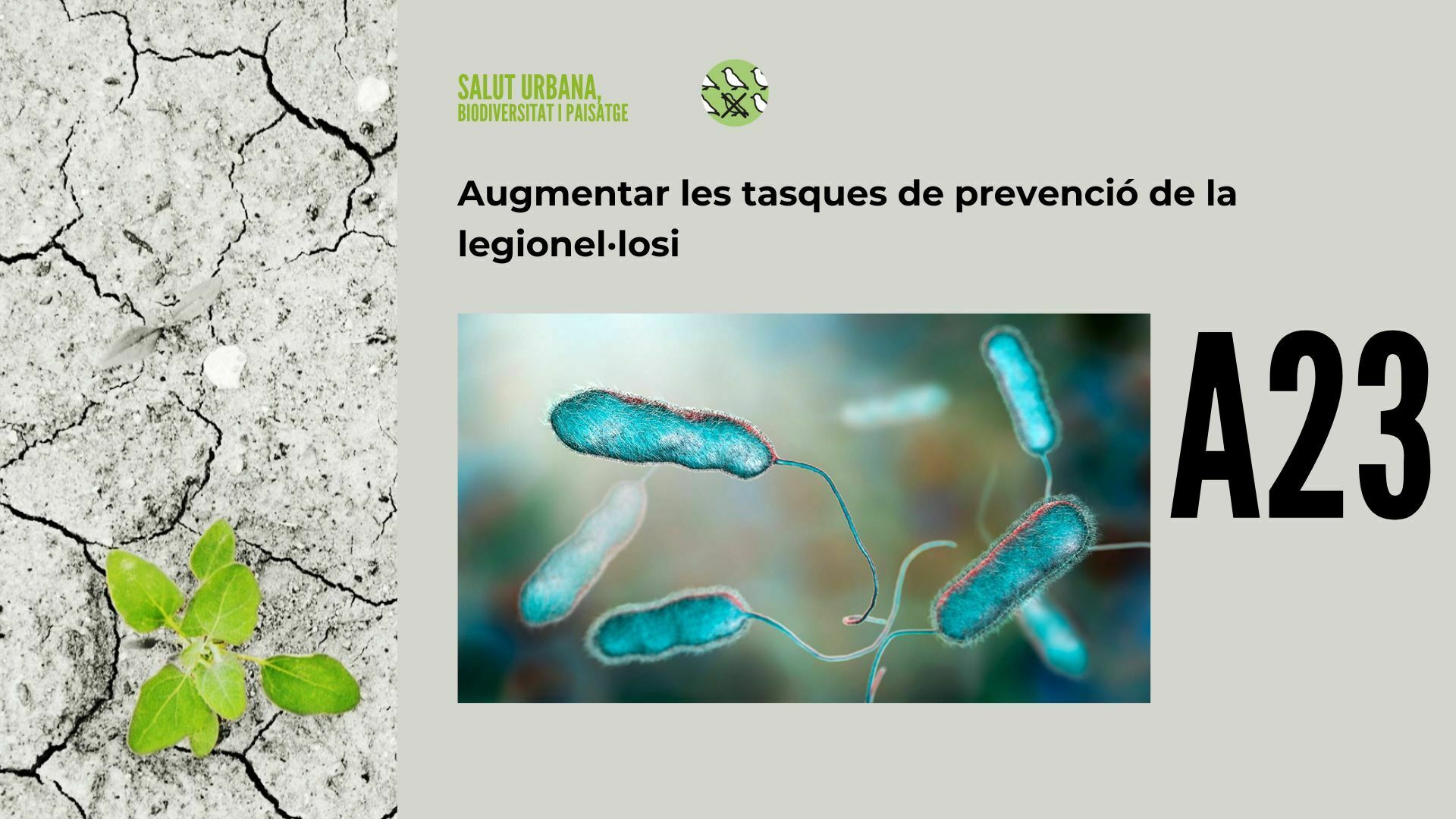 Imatge pels mitjans: A23 - Augmentar les tasques de prevenció de la legionel·losi 
