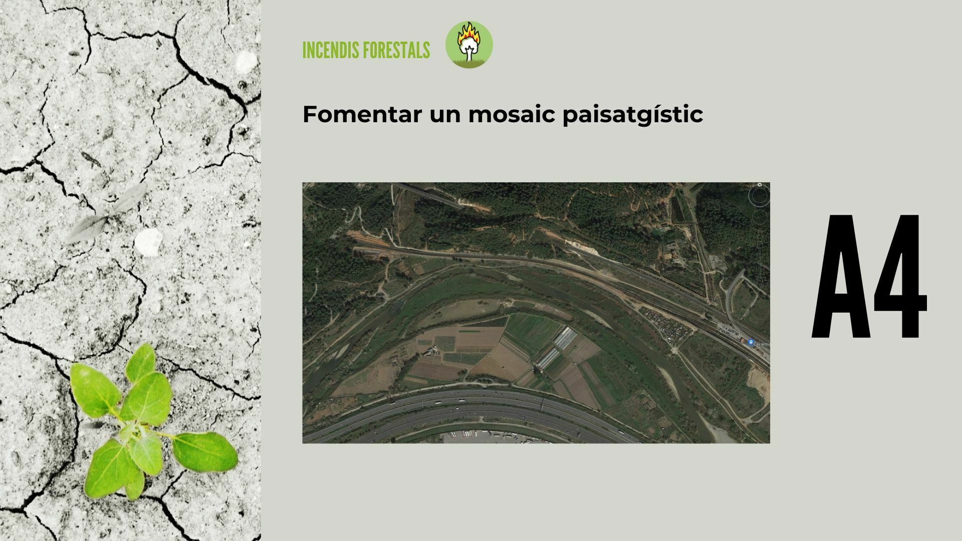 Imatge pels mitjans: A4 - Fomentar un mosaic paisatgístic