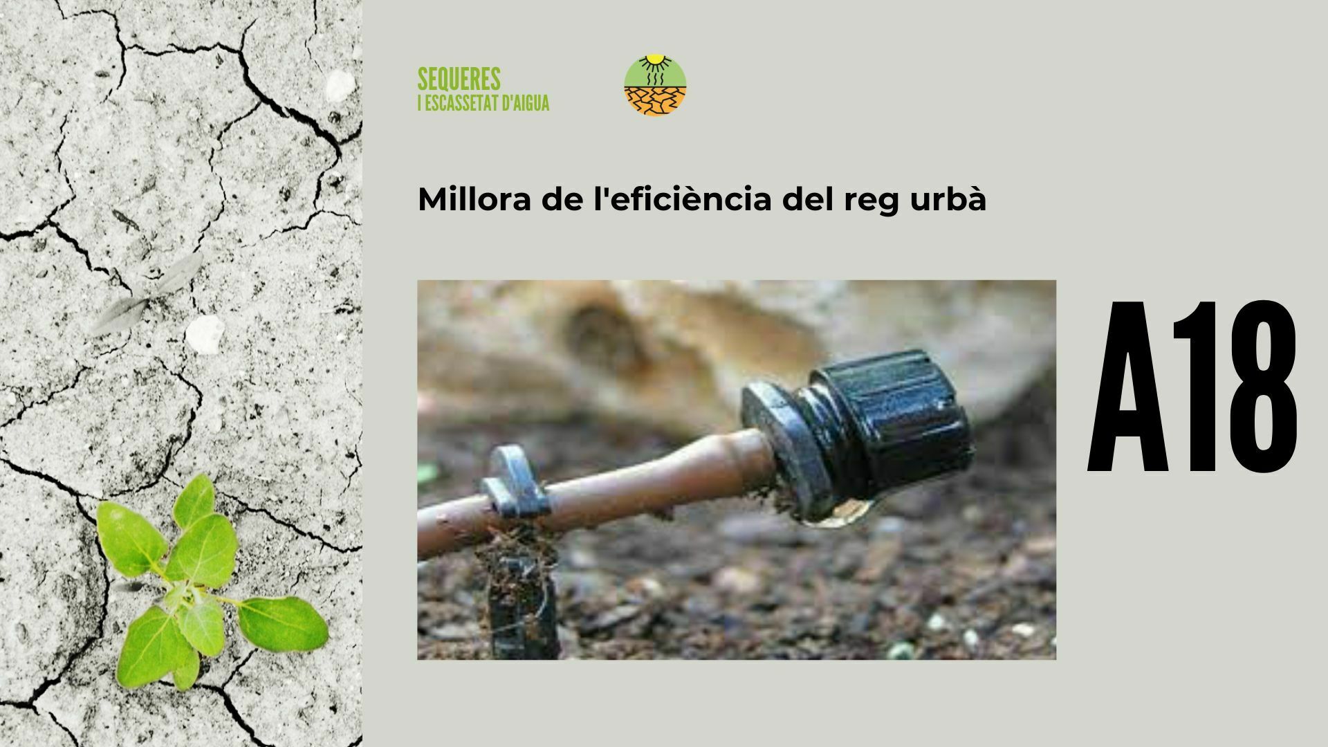 Imatge pels mitjans: A18 - Millora de l&#39;eficiència del reg urbà