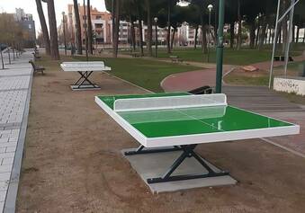 ping pong.jpg
