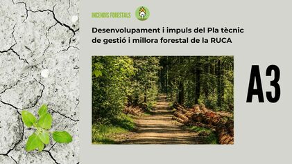A3 - Desenvolupament i impuls del Pla tècnic de gestió i millora forestal de la RUCA 