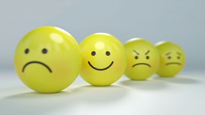 Taller de gestió emocional. Les 4 emocions bàsiques. 